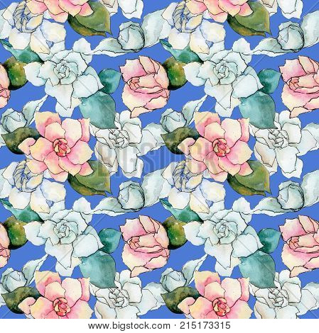 Wildflower gardenia flower pattern in a watercolor style. Full name of the plant: gardenia . Aquarelle wild flower for background, texture, wrapper pattern, frame or border.