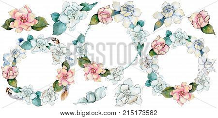 Wildflower gardenia flower in a watercolor style isolated. Full name of the plant: gardenia . Aquarelle wild flower for background, texture, wrapper pattern, frame or border.