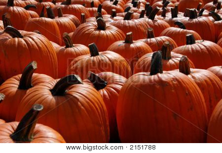 Citrouilles