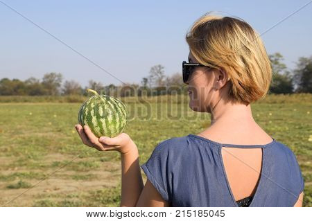 Girl With A Watermelon In Her Hand. Search For Watermelons In The Field Of Melons. Found A Watermelo