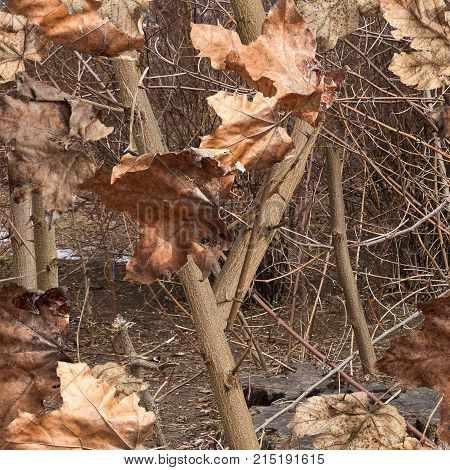 Fall leaves on the bush. Ideal for hunting and military purposes. Realistic camouflage seamless pattern.