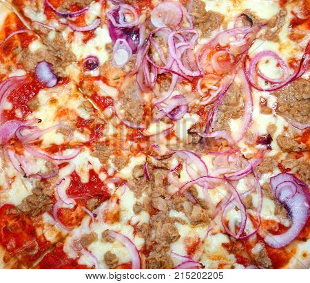 Tasty Takeaway Pizza With Tuna And Onions