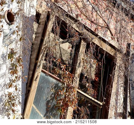 Abandoned building in Clarksdale, Mississippi, the home of the Delta Blues.