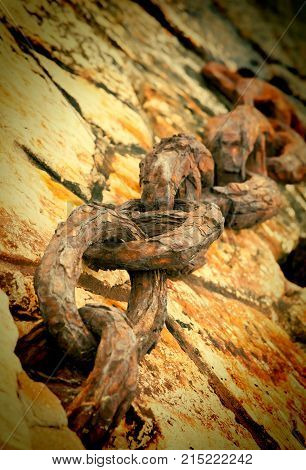 Anchor chain of a vessel on a mooring selective focus