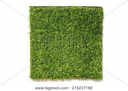 Artificial green grass in square plate on white background