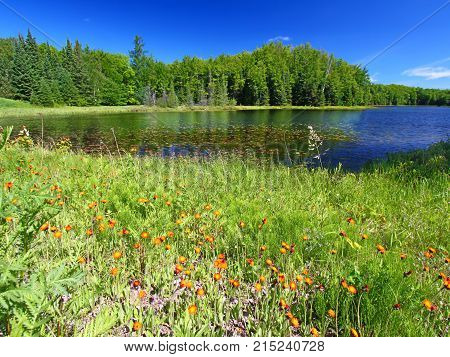 Lake landscape in the Northern Highland American Legion State Forest of Wisconsin