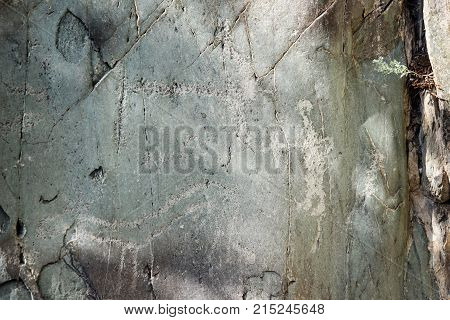 Ancient Petroglyphs Rock Carvings On Stones. Altai Republic, Russia