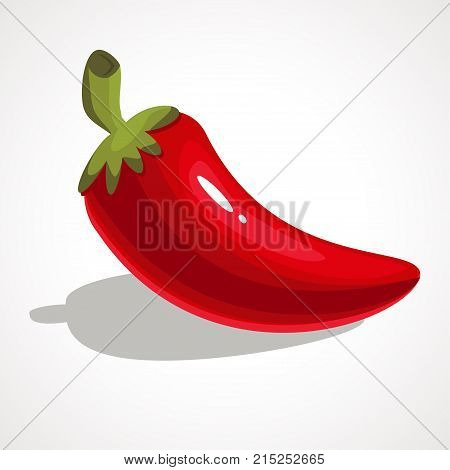 Red chili pepper funny cartoon character. Vector illustration