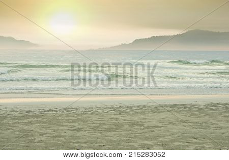 Extremely beautiful sunset and branch on beach