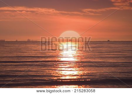 Extremely beautiful sunset and branch on beach