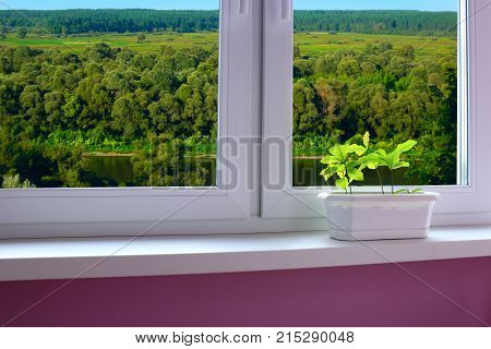 plants in the pot on the window-sill and view from the window to the landscape with river