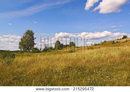 Summer Landscapes