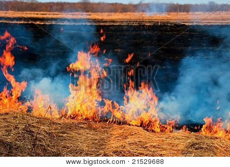 Incendie sur la Nature