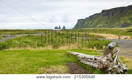 Green Seaside In Vik I Myrdal Village In Iceland