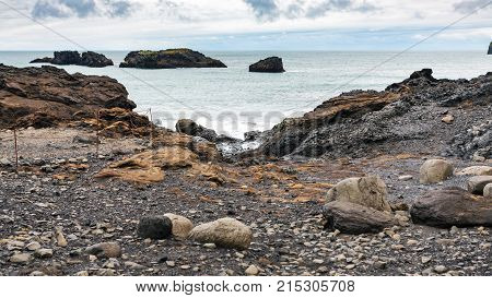 Atlantic Ocean Volcanic Coast In Iceland