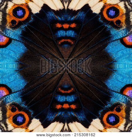 Background Created From Buttterfly Wings