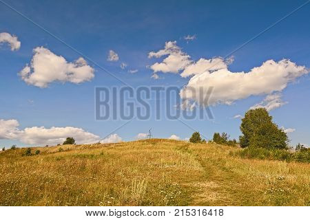 Rural Summer Landscapes