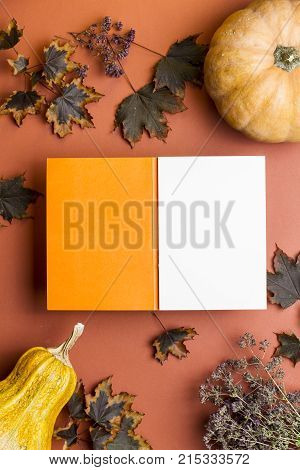 Flatly autumn on on an orange background with leaves and pumpkins and place under the text