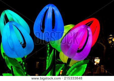 Amsterdam Netherlands - January 14 2017:Tulips by night at Amsterdam Light Festival