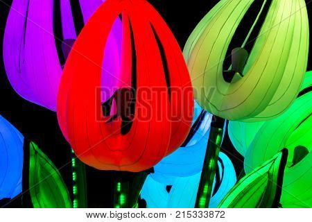 Amsterdam Netherlands - January 14 2017: Tulips by night at Amsterdam Light Festival