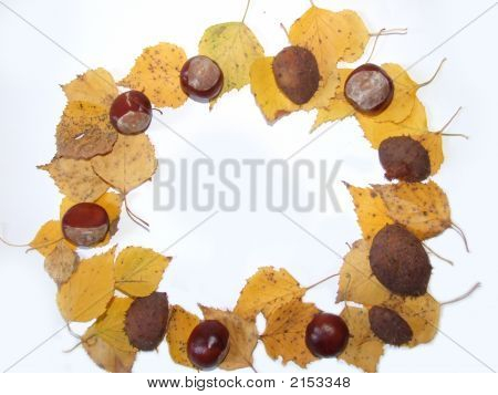 Finestra d'autunno