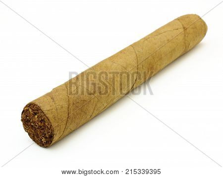 Cigar