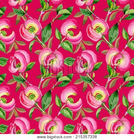 Wildflower cornos Florida flower pattern in a watercolor style. Full name of the plant: cornos. Aquarelle wild flower for background, texture, wrapper pattern, frame or border.