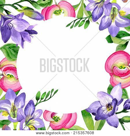 Wildflower cornos Florida flower frame in a watercolor style. Full name of the plant: cornos. Aquarelle wild flower for background, texture, wrapper pattern, frame or border.