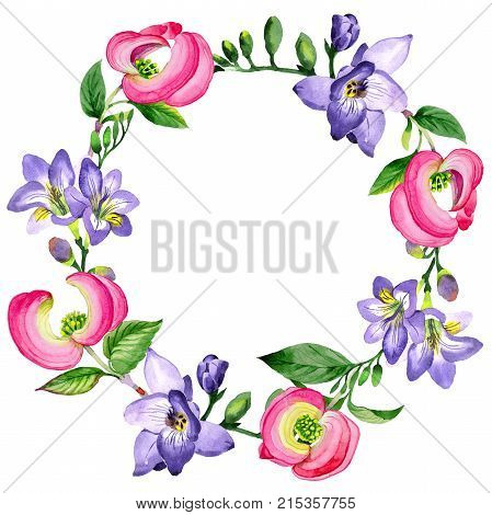 Wildflower cornos Florida flower wreath in a watercolor style. Full name of the plant: cornos. Aquarelle wild flower for background, texture, wrapper pattern, frame or border.