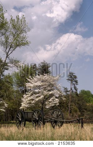 Caisson Civil War 3