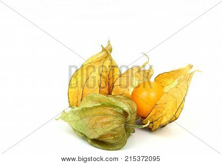 close up from Cape Gooseberry isolated on white background