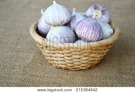 Solo garlic or single clove garlic in basket on sack background