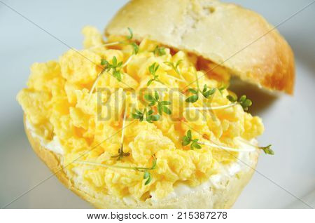 Easy healthy breakfast children menu with scrambled eggs, cream cheese and Garden cress