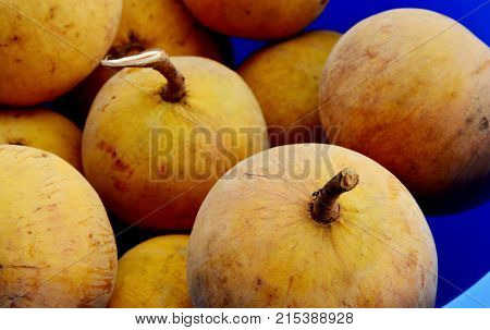 close up from many Fresh Santol in the market
