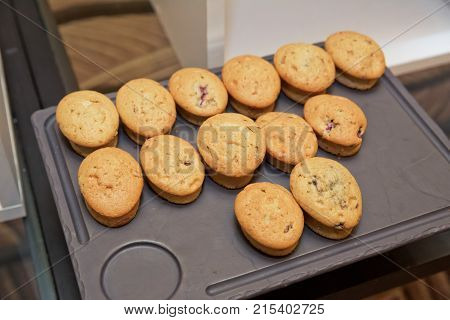 Muffin Keks Resepti Isolated Muffin
