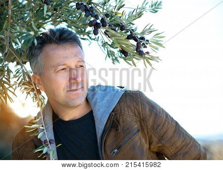 Handsome man posing in olive trees garden. Male portrain over mediterranean olive field ready for harvest. Confident mature man in spanish olive's grove with ripe fresh olives.