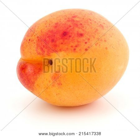 One apricot isolated on white background cutout