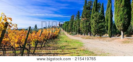 Vineyards and castles of Tuscany in autumn colors. Castello Banfi, Italy