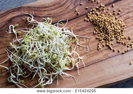 Sprouted And Dry Fenugreek Seeds, Top View