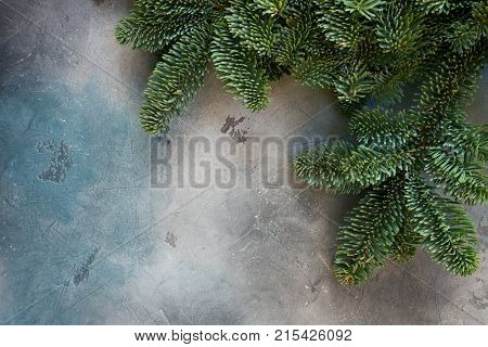 Christmas background with efresh vergreen tree banches close up