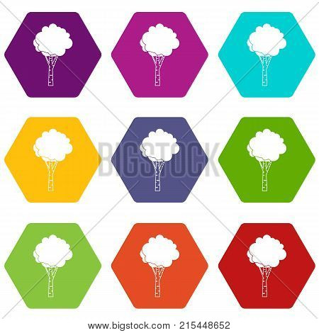 Birch icon set many color hexahedron isolated on white vector illustration