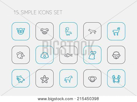Set Of 15 Editable Animal Outline Icons. Includes Symbols Such As Smelly Animal, Pearl, Hound And More