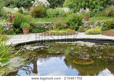 Pond with flowers and plants and cracks