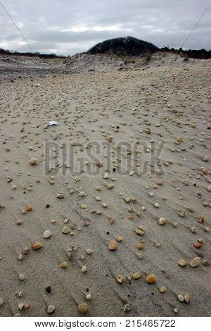 Island Beach State Park. Miles of sand dunes