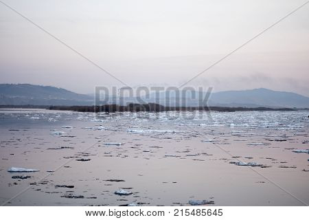 Spring Seascape On The River