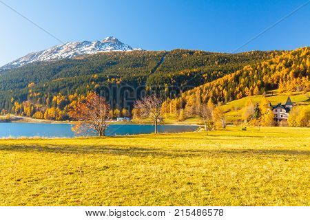 foliage in the woods around Lake Resia Italian eastern Alps
