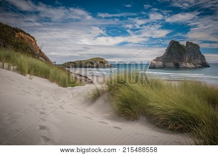 Inviting Path Dune Vegetation At Famous Wharariki Beach Vintage Colors