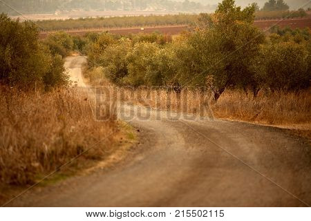 Scenic Road Drive Pass Beautiful Panoramic Valley South Island