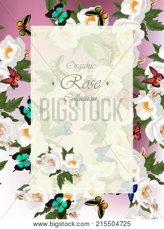 Wedding or greeting card designt with white roses and butterflies. Invitation or postcard design. Great floral collection