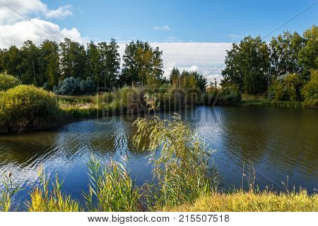 Nature of Central Russia. By the pond on a summer day.